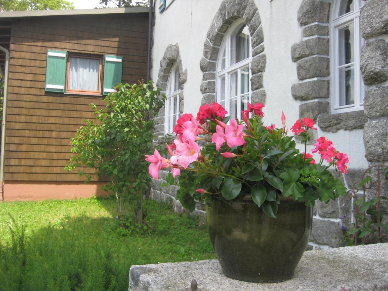 Gasthof Pension Strohmaier Haidmühle Exteriör bild