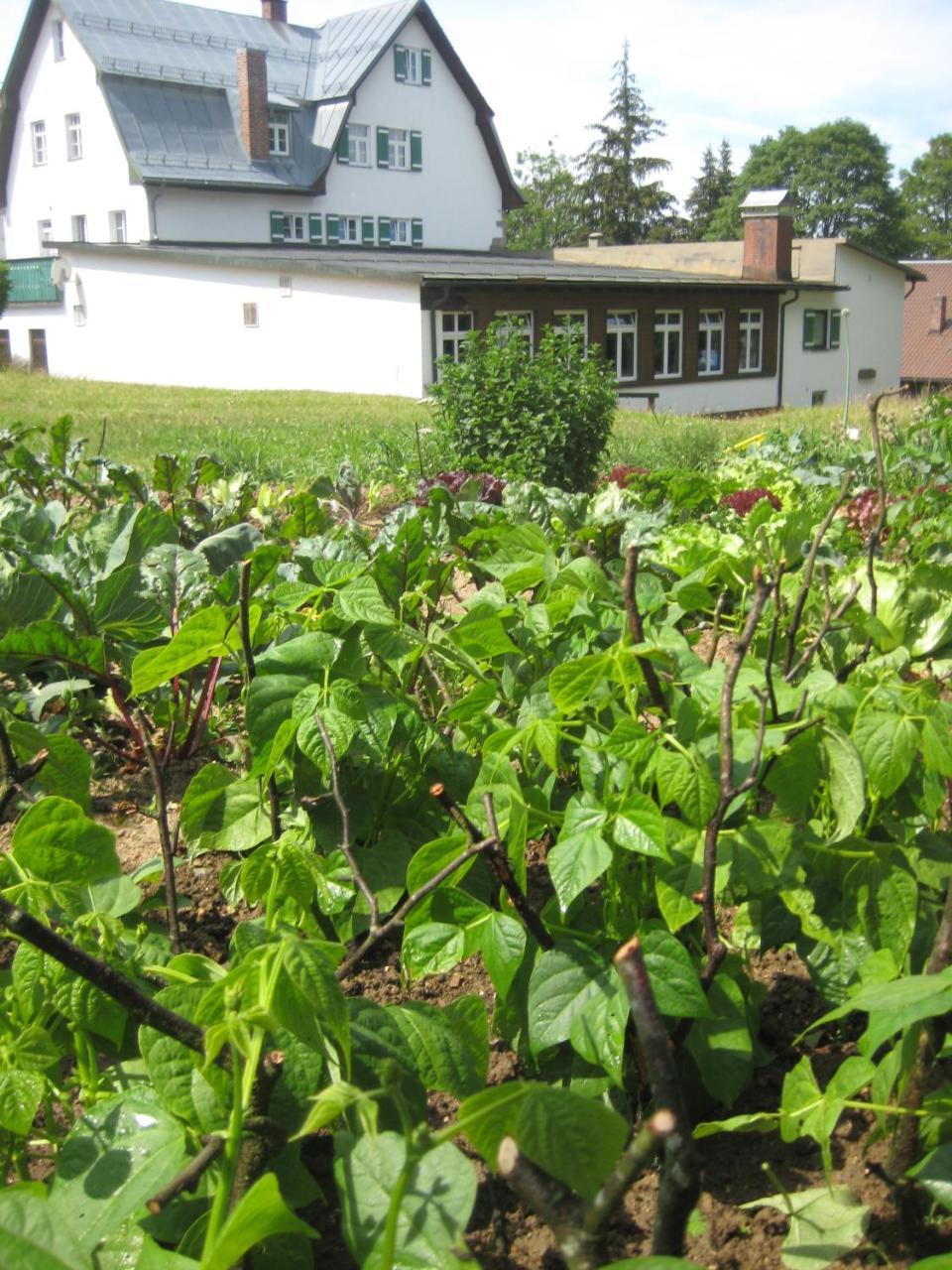 Gasthof Pension Strohmaier Haidmühle Exteriör bild